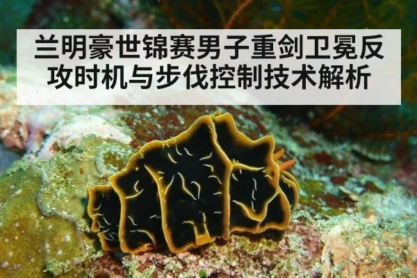 兰明豪世锦赛男子重剑卫冕反攻时机与步伐控制技术解析